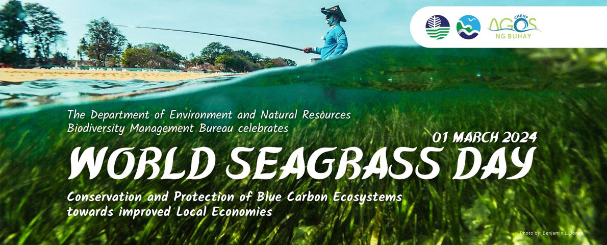 Banner---March-01-2024-as-World-Seagrass-Day-web