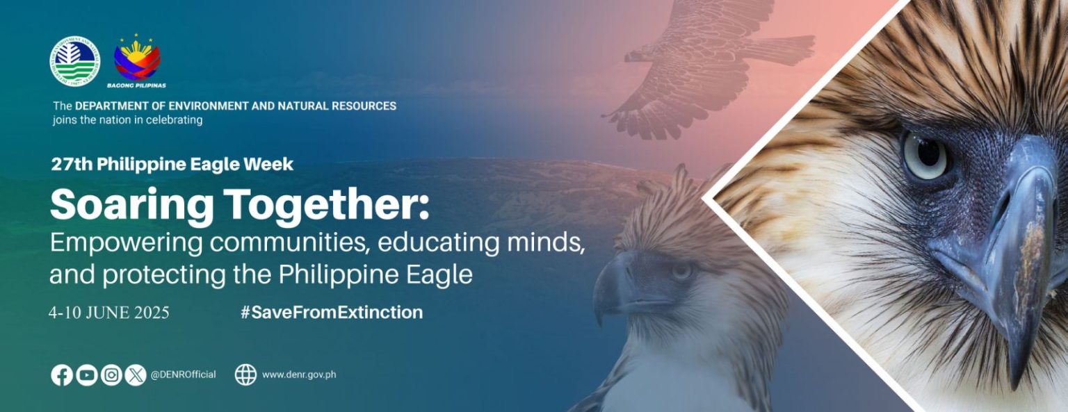 Soaring-Together-Philippine-Eagle-1536x593
