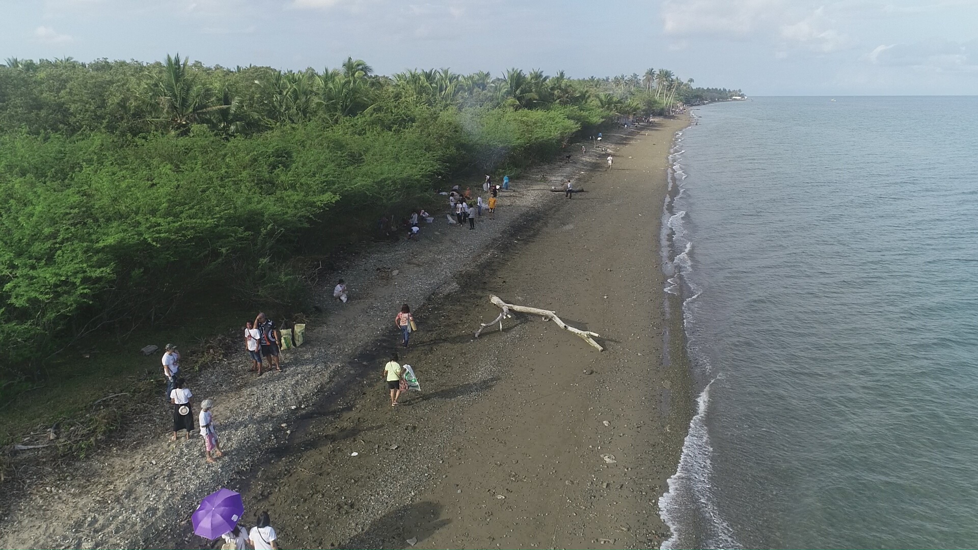 Coastal Clean-up and Mangrove Planting Activity in Celebration of Month of the Planet Earth of PENRO-Marinduque