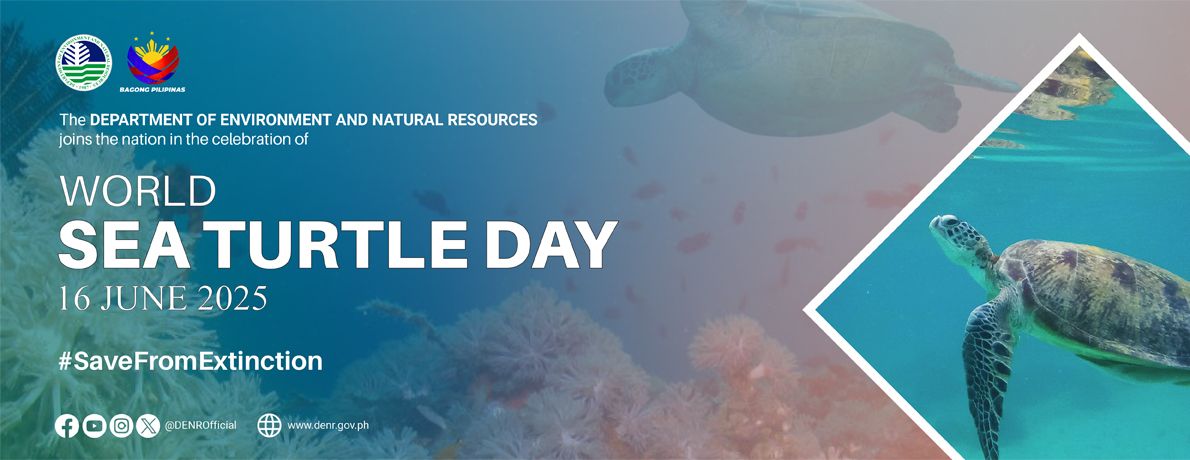 World-Sea-Turtle-Day