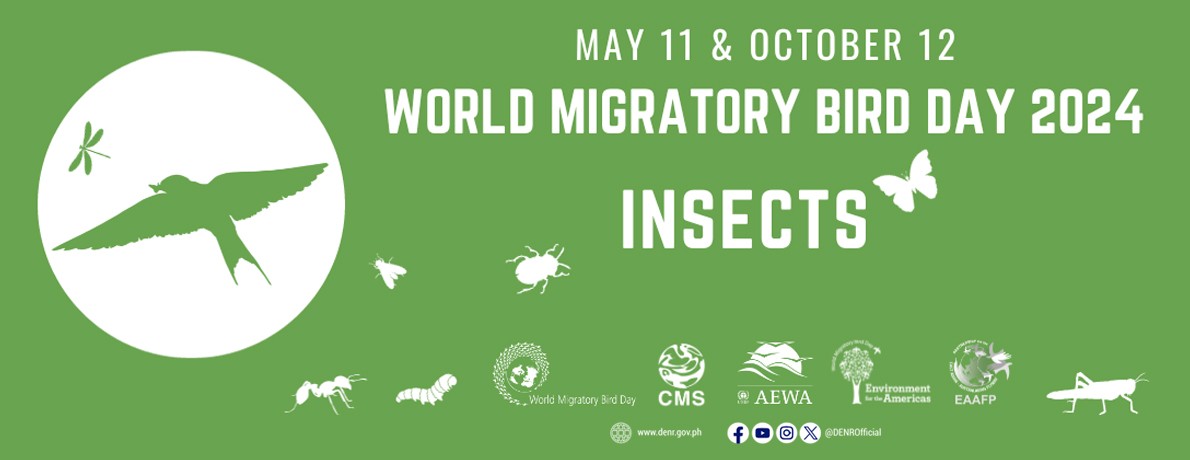 Banner_May11-as-World-Migratory-Bird-Day_2024
