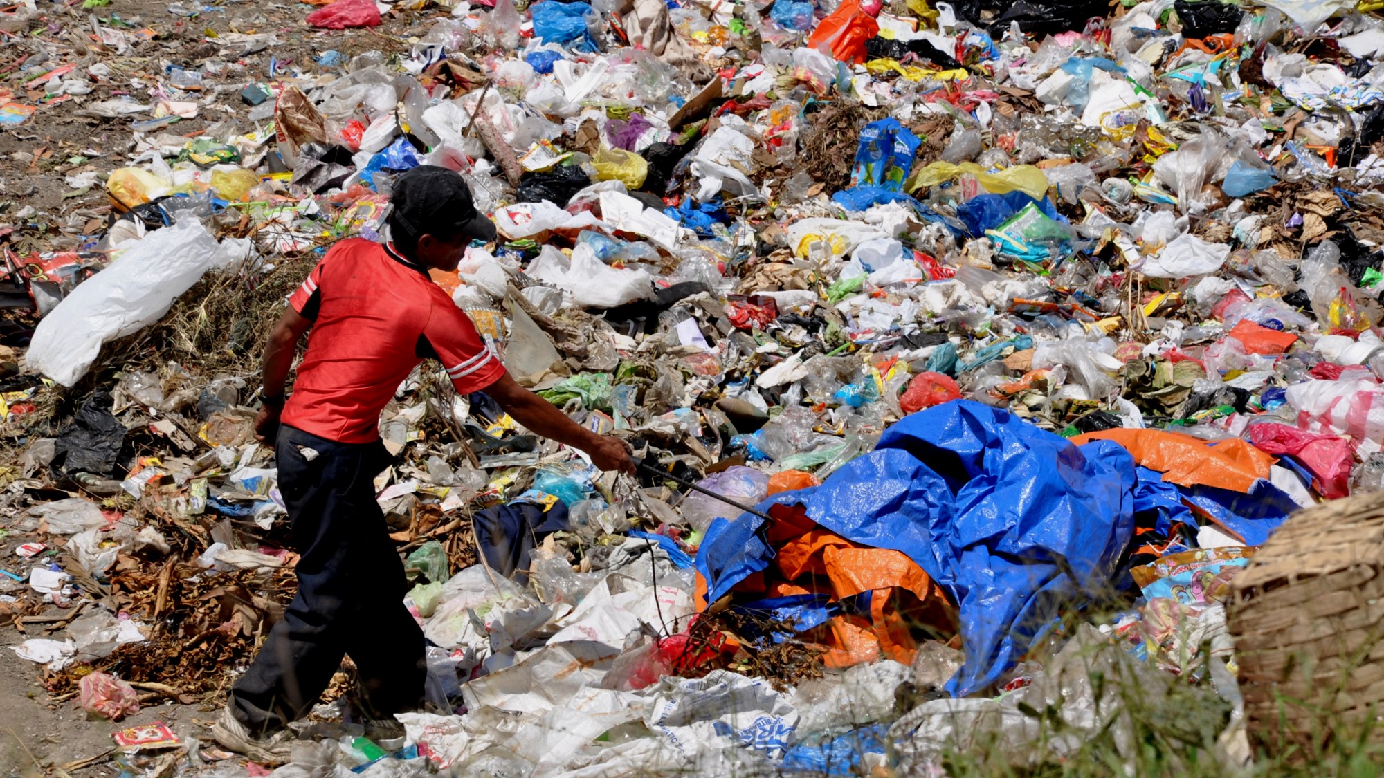 barangay-ecological-solid-waste-management-barangay-ecological-solid